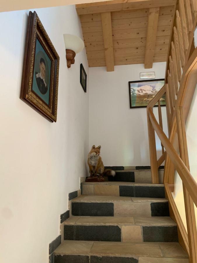 Agriturismo Maso Larciunei Сельва-ді-Валь-Гардена Екстер'єр фото
